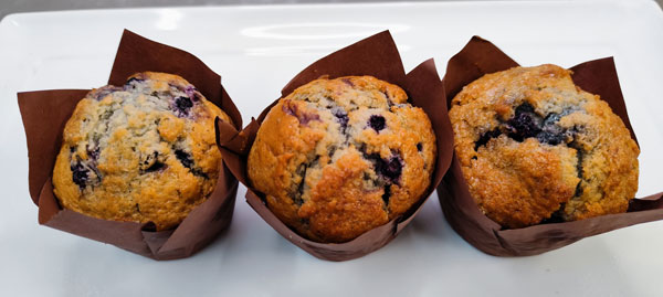 Gourmet Blueberry Muffin