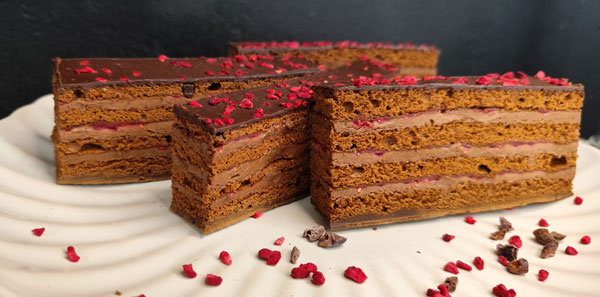 Chocolate Raspberry Delice Slice