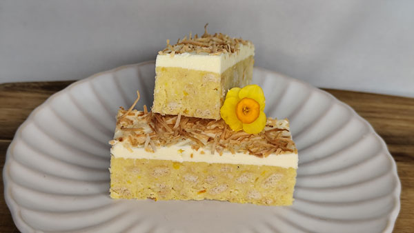 Citrus Fudge Slice