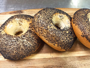 Poppy Seed Bagel